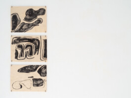 Katharina Hebenstreit