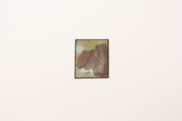 Katharina Hebenstreit