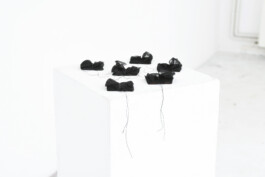 Katharina Hebenstreit